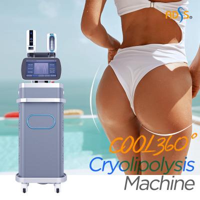 China Máquina de Coolsculpting Cryolipolysis de la pérdida de peso, máquina de congelación gorda de Cryotherapy en venta