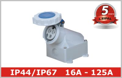 China Wall Mounted Electrical Industrial Power Socket 16A 32A 63A 125A for sale
