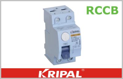 China Residual Current Device Mini Circuit Breaker 2 Pole RCCB 16A 25A 40A 63A for sale