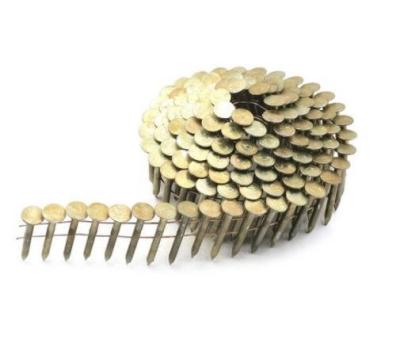 China 15 Degree E. G. Wire Welded Coil Roofing Nails for Roofing Projects for sale
