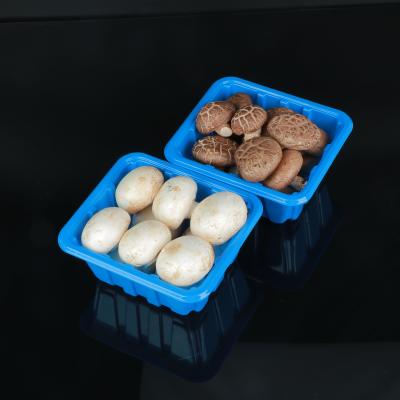 China ANIMAL DE ESTIMAÇÃO plástico Tray Custom Blue And Clear de empacotamento descartável de Hengmaster à venda