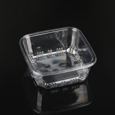 China Clamshell Blister Packaging Tray Customized Disposable Clear à venda