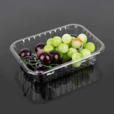 China 4cm Disposable Fruit Tray for sale