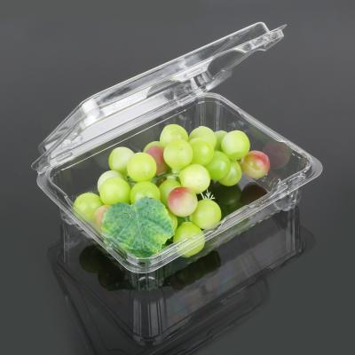 China Rectangle Small 18.5*14.5*6cm Disposable Plastic Food Box for sale