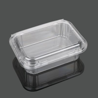 China Takeaway Packaging 13.5cm Disposable Plastic Food Box for sale