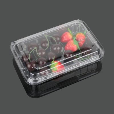 China Cookie Packaging 23*15.5*5.5cm Disposable Plastic Food Box for sale