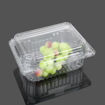 China Transparent Big Clamshell Disposable Plastic Food Box for sale