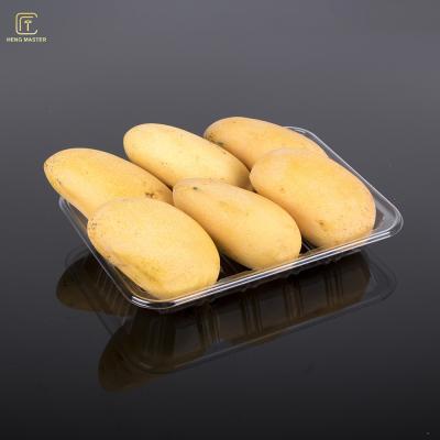 China Recycled Disposable 20*15*3cm Disposable Fruit Tray for sale