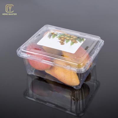 China Clear 19.5*16*9cm Disposable Plastic Fruit Containers for sale
