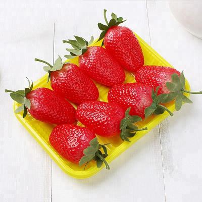 China PET Colorful Disposable Plastic 25*18*2.5cm Fruit Packing Tray for sale
