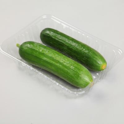 China 4.5cm Disposable Veggie Tray for sale