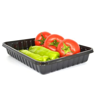 China Eco Friendly Takeaway 24*18.5*4cm Disposable Veggie Tray for sale