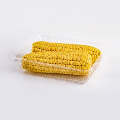 China Corn Packaging 22*17*5cm Disposable Vegetable Containers for sale