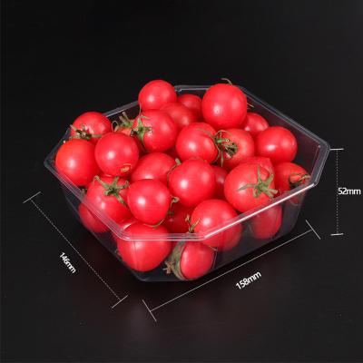 China 15*16*5CM Stackable PET FDA Disposable Fruit Tray for sale