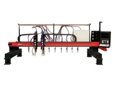 China High speed Multi-Head Vertical Strip CNC Plasma Cutting Machine for Industrial for sale