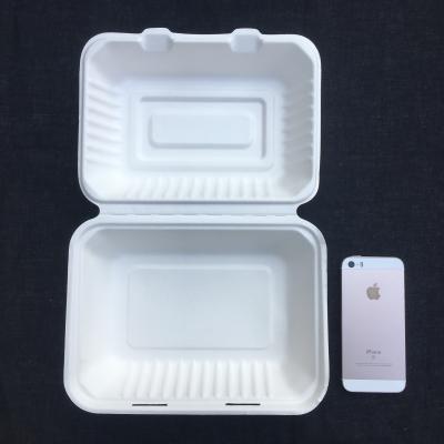 China Rectangle Biodegradable 600ml Disposable Bento Lunch Box Sugarcane Pulp for sale
