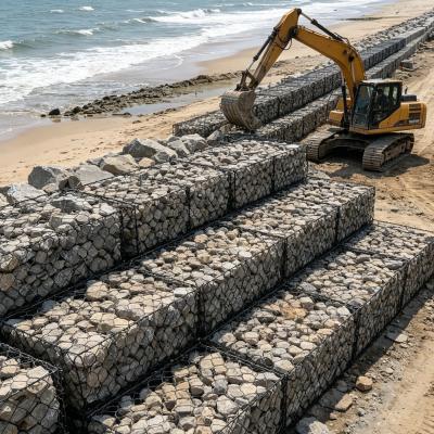 PVC Coated Gabion Wire Mesh Durable Retaining Wall Basket for Soil ...