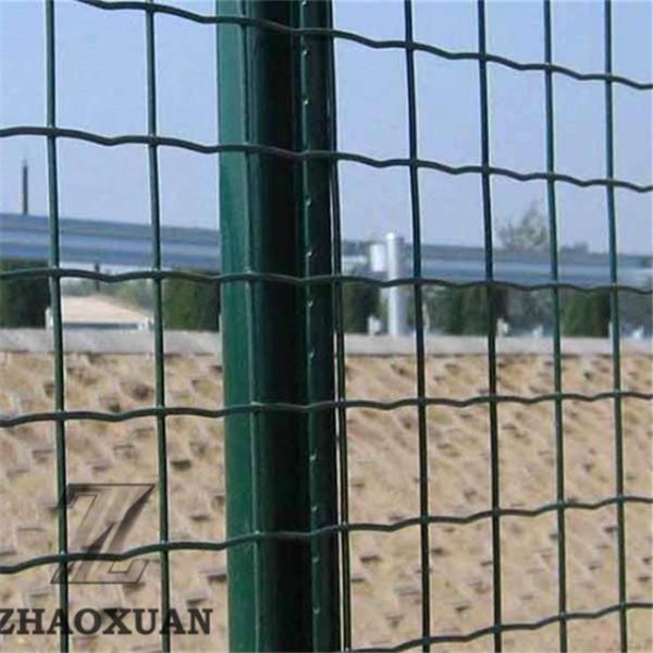 Quality 2" X 2" 2" X 4" Euro Dutch Weaving Wire Mesh Fence PVC Coated for sale