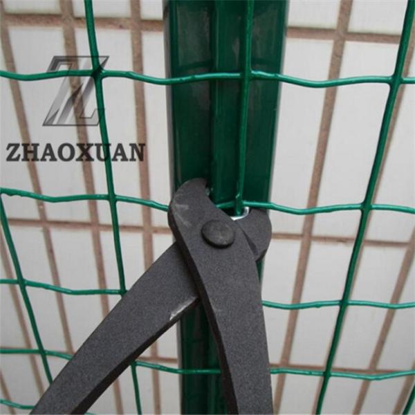 Quality 2" X 2" 2" X 4" Euro Dutch Weaving Wire Mesh Fence PVC Coated for sale