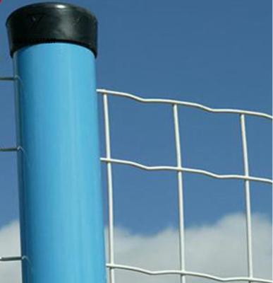 China El PVC de Mesh Euro Style Fencing del alambre cubrió el tamaño modificado para requisitos particulares para el patio en venta