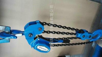 China Ce Standard Electrical Cable Pulling Tools 10KN Chain Type Handle Hoist for sale