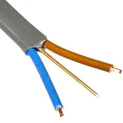 China 2*1mm2+E Copper Flat Cable Two Core PVC Insulated Coated Stranded Flat Cord for sale