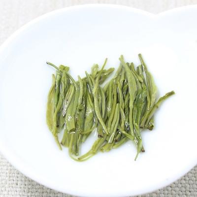 China Té verde chino, té maojian, hojas de té verde ligeramente frescas en venta