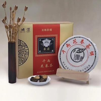 China Chá preto magro de Anhua da perda de peso do chá escuro de Hunan da beleza no volume à venda