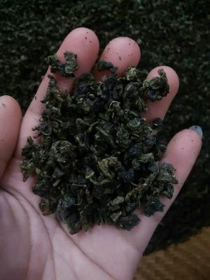 China High Grade Tieguanyin Oolong Tea , Fermented Organic Gaba Tea for sale