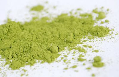 China Polvo orgánico del té verde de Japón Kyoto Matcha pasajero BCS certificado en venta