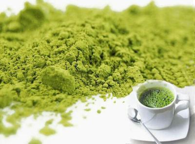 Chine Graisse saine brûlant la poudre de Matcha de thé vert avec le traitement cuit à la vapeur à vendre
