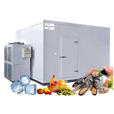 China Commercial Automatic  Shipping Container Cold Room 100ton For Meat And Fruits for sale