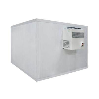中国 単位の低温貯蔵100tonの産業涼しい部屋および送風フリーザーの容器の歩行 販売のため