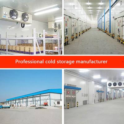 China cámara fría del refrigerador del panel de 50m m para el sitio del congelador de la refrigeración de la fruta en venta