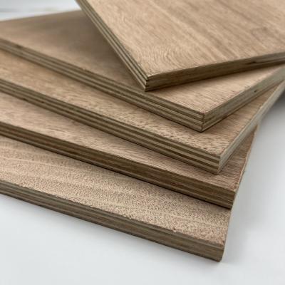 China Mildewproof Poplar Hardwood Veneer Plywood Harmless Practical for sale