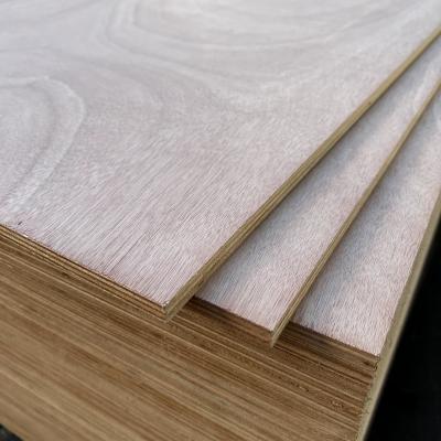 China Moistureproof Hardwood Veneer Plywood Sturdy Thickness 3mm-25mm for sale