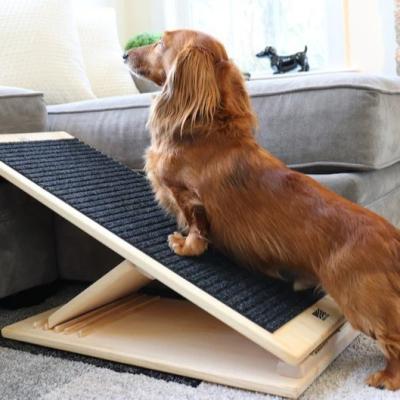 China Collapsible Height Adjustable Dog Ramp Hold 100Lbs With 3 Layer Carpet Bed Ramp For Dogs for sale