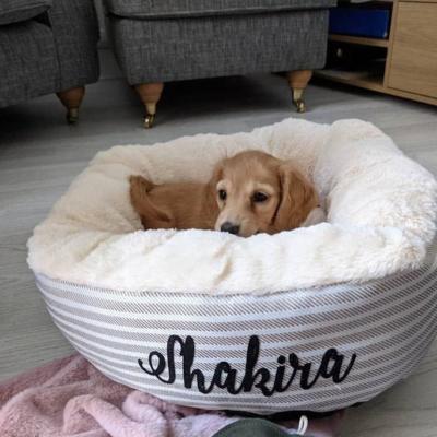 China Cream Striped Snuggle Calming Dog Bed OEM ODM Covered Dog Bed Calming Dog Bed Dog Mattress Bed for sale