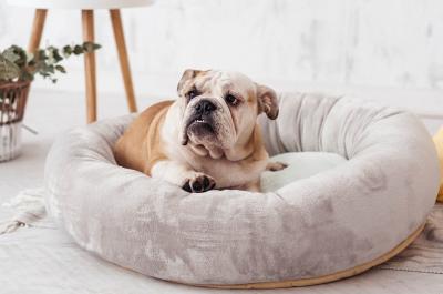China Calming Dog Bed 80cm 100cm Donut Cat Bed Covered Dog Bed Anxiety Dog Mattress Bed for sale