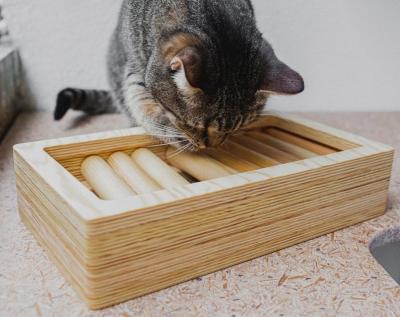 China Búsqueda del alimentador del rompecabezas de la comida de Kitten Brain Interactive Pet Toys Cat del juego en venta