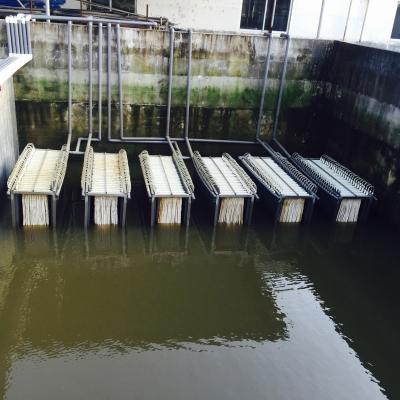 Chine Traitement des eaux usées creux de bioréacteur de membrane de fibre de MBR à vendre