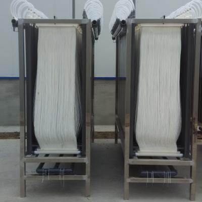 China módulo oco da membrana da fibra da cavidade do tratamento da lama da fibra MBR de 0.05um PVDF à venda
