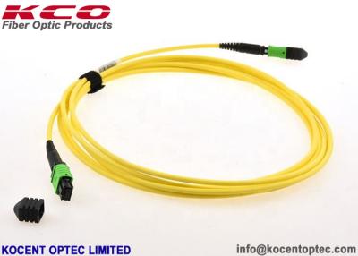China 8 / 12 / 24 Cores MPO MTP Optic Fiber Patch Cord SM 9/125 Single Mode LSZH Type A / B / C for sale