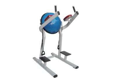 China Lifetime Fitness Workout Equipment / Chin Dip Leg Raise With Bosu Ball Machine for sale