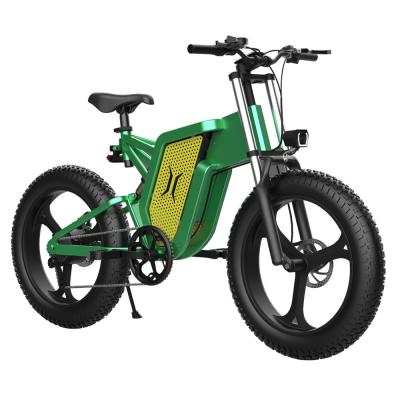 China 48V 1000w Ridstar Electric Bike With Aluminum Alloy Frame Disc Brake for sale