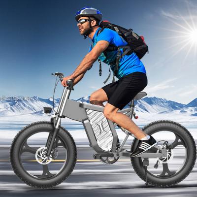 China Aluminum Alloy Men'S Fat Tire Electric Bike 1000w Rear Drive Transmission for sale