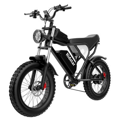 China Removable Battery Off Road Fat Tire Electric Bike 40 Miles Steel Frame for sale