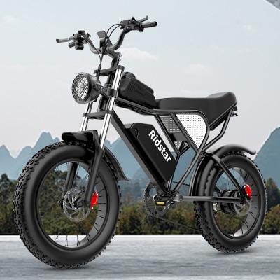 China Long Endurance Fat Tyre 20 Inch Electric Bike 48V 1000W Snow Electric Bicycle for sale