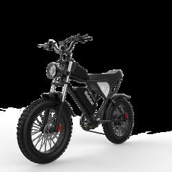 China 1000w 48v20ah Battery All Terrain Fat Tire Electric Bike Adult Electric Bicycles 60km for sale