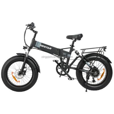 China Customizable Fat Tire Hunting Electric Bikes 750Watt For Office Lady for sale